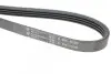 Ремінь генератора Suzuki Grand Vitara 2.5 V6/2.7 4x4 98-03 HUTCHINSON 1020 K 4 (фото 4)