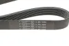 Ремень генератора BMW 3 (E90)/Opel Movano 2.0i/2.5DTI 03- (7PK1099) HUTCHINSON 1099K7 (фото 5)