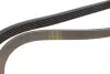 Ремень генератора Renault Kangoo 1.4i 98-/ 1.6i 02- (5PK1110) HUTCHINSON 1110 K 5 (фото 3)