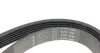 Ремень генератора Land Rover Freelander 2.5 V6 00-06 HUTCHINSON 1280 K 6 (фото 4)