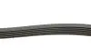 Ремень генератора VW Golf/VW Bora 2.3 -00 (6PK1285) HUTCHINSON 1285 K 6 (фото 2)