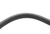 Ремінь генератора Opel Astra/Corsa 1.0/1.2/1.4 00-/Suzuki Wagon R 1.0/1.2 04-05 (5PK1355) HUTCHINSON 1355 K 5 (фото 4)