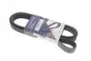 Ремень генератора Renault Megane II 2.0 dCi 05-09 (7PK1705) HUTCHINSON 1705K7 (фото 1)