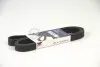 Ремінь генератора Citroen Berlingo/Peugeot Partner 1.6HDI/Fiat Scudo 1.6D (6PK1710) HUTCHINSON 1710K6 (фото 1)