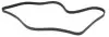 Ремень генератора Ford Connect 1.8TDCi 06-14/Citroen C5 2.0HDi 00- (6PK1745) HUTCHINSON 1745K6 (фото 2)