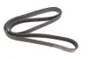 Ремінь генератора BMW X5/Ford Focus 1.4/1.6 16V 98- (6PK1892) HUTCHINSON 1892 K 6 (фото 5)
