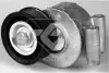 Ролик натяжной Ford C-Max (07-10), Focus II (05-08) HUTCHINSON T0316 (фото 1)