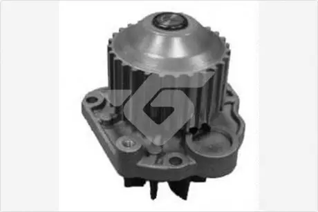 Насос Водяний Citroen C5/Peugeot 406, 807/Renault Laguna 3.0 (00-) HUTCHINSON WP216