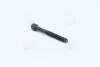 Болт головки циліндрів (Mobis) Hyundai/Kia/Mobis 2232123000 (фото 1)