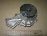 Насос водяной (Mobis) Mobis Hyundai/Kia/Mobis 251002E020 (фото 1)