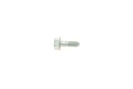 Болт напрямний супорта (переднього) Hyundai Accent III/Kia Rio II 05-11 HYUNDAI Hyundai/Kia/Mobis 581631G000