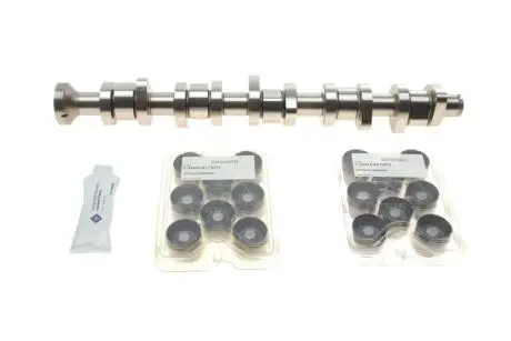 Комплект распределительного вала VW T5 2.5 TDI 03-09, 96/120/128kw, (BNZ, AXD, BPC, AXE, BLJ) INA 428 0040 30