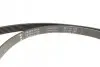 Комплект ремня генератора Ford Fiesta/Mazda 2 1.4D 01-12 (6PK 1705) INA 529 0012 10 (фото 2)