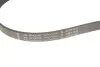 Комплект ременя генератора Ford Fiesta 1.3 01-08 (6PK2193) INA 529 0067 10 (фото 2)