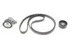 Комплект ременя генератора Renault Megane/Scenic 00-09, (5PK1750) 529 0082 10