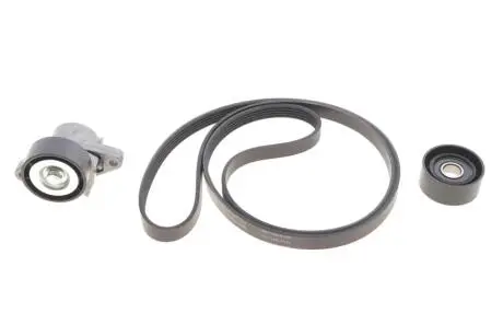 Комплект ремня генератора Renault Megane/Scenic 00-09, (5PK1750) INA 529 0082 10