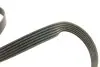Комплект ремня генератора VW Caddy II 1.4/1.6 95-04 (6PK1070) INA 529 0084 10 (фото 3)