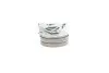 Комплект ремінця генератора VW Passat 96-05 (5PK1300) INA 529 0096 10 (фото 5)