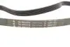 Комплект ремня генератора Audi A2/Seat Ibiza/Skoda Fabia/VW Golf/Polo 1.4/1.6/1.6FSI 97- (6PK 1078) INA 529 0103 10 (фото 2)