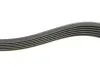 Комплект ременя генератора Skoda Fabia/VW Polo 1.0/1.6 14- (6PK989) INA 529 0160 10 (фото 3)