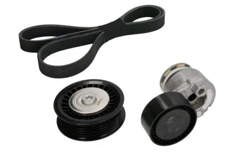 Комплект ремня генератора Renault Kangoo/Megane/Scenic 1.5 dCi 02- (6PK1130) INA 529 0165 10