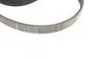 Комплект ременя генератора Audi A4/A6/A8/Q7 2.7/3.0 TDI 03-15 (6PK2490) INA 529 0209 10 (фото 9)