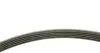 Комплект ремня генератора Citroen C3/C4/Peugeot 206/307 1.4/1.6 HDi 02- (6PK800) INA 529 0213 10 (фото 2)