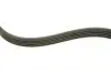 Комплект ременя генератора Land Rover Freelander 2.0 Td4 4x4 00-06 (5PK875/5PK2030) INA 529 0253 10 (фото 6)