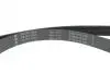 Комплект ремня генератора Renault Clio IV/Kangoo/Megane III/Scenic III 0.9/1.2 TCe 12- (7PK1605) INA 529031610 (фото 4)