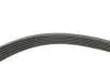 Комплект ременя генератора Opel Astra/Insignia 2.0 CDTI 08-17 (6PK1903) INA 529 0348 10 (фото 2)