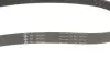 Комплект ременя генератора Skoda Roomster/Fabia 1.4TDi 03-10/VW Fox/Lupo/Polo 1.2/1.4TDI 99-09 INA 529 0378 10 (фото 4)