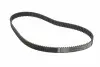 Комплектгрм BMW 5 (E34) 525 i M 20 B 25; M20 B25 (256K1) INA 530 0006 10 (фото 6)