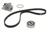 Комплект ГРМ + помпа Citroen Berlingo 1.1i 96-08/Peugeot 106/205/306/Partner 1.1 96-07 (17x104z) 530 0012 30