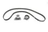 Комплект ГРМ Renault Laguna 2.0i 16V 95-01 INA 530 0063 10 (фото 2)
