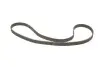 Комплект ГРМ Opel Astra F/Vectra B 1.4/1.6 16V 94-05 INA 530 0078 10 (фото 2)