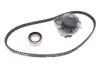 Комплект ГРМ + насос Fiat Panda/Punto 86- (15x125z) INA 530 0205 30 (фото 1)