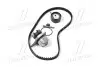 Комплект ГРМ + помпа Citroen Berlingo/Peugeot Partner 1.1i 96-08 INA 530 0334 30 (фото 4)