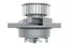 Комплект ГРМ + помпа VW Golf/Bora/Seat 1.4 V16 97-06(130x20/58x17) 530 0360 30 INA 530036030 (фото 3)