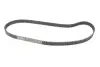 Комплект ГРМ + помпа Citroen Jumper/Peugeot Boxer 2.2 HDi 02- INA 530 0368 30 (фото 4)