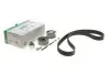 Комплект ГРМ Skoda Octavia II/VW Golf V 2.0TDI 03-, (141x30) 530 0405 10