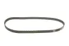 Комплект ГРМ + насос Citroen Berlingo/Jumpy 1.9D 98- (DW8 1868) INA 530 0440 30 (фото 2)