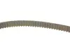 Комплект ГРМ + помпа Audi A3/Skoda Octavia/VW Golf 2.0FSI 04-10 INA 530 0445 32 (фото 3)