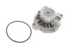 Комплект ГРМ + насос VW LT 2.5 96-/VW T4 2.5 TDI 91- INA 530 0484 30 (фото 12)