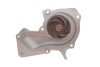 Комплект ГРМ + помпа Ford C-Max/Fiesta/Focus/Mondeo 1.25/1.4/1.6 05-/Volvo 1.6 07-12 (117x22)(PA990) INA 530 0495 30 (фото 9)