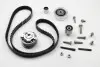 Комплект ГРМ VW Caddy III/IV/T5/Crafter 1.6TDI/2.0TDI, (160x25) 530 0550 10