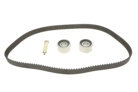 Комплект ГРМ Fiat Ducato 2.5 TDI 90-02 (153x30) INA 530 0602 10