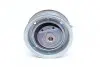 Ролик ГРМ VW Caddy 1.6 EcoFuel/BiFuel, BGU, BSE, BSF, BSX, CHGA INA 531 0203 20 (фото 4)