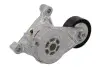 Натяжник ременя генератора VW Caddy 1.9TDI/2.0SDI, 04-10, (70x24) INA 534 0059 10 (фото 2)