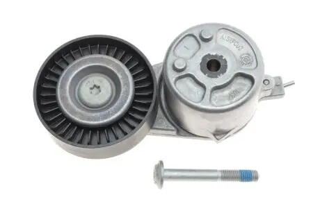 Натяжник ремня генератора Ford Mondeo IV/Galaxy 1.8TDCi 06-15 INA 534 0412 10