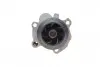 Насос воды VW Caddy II 1.9TDI/SDI (9K9A), 11/95 - 01/04, 47/66kw INA 538 0006 10 (фото 5)